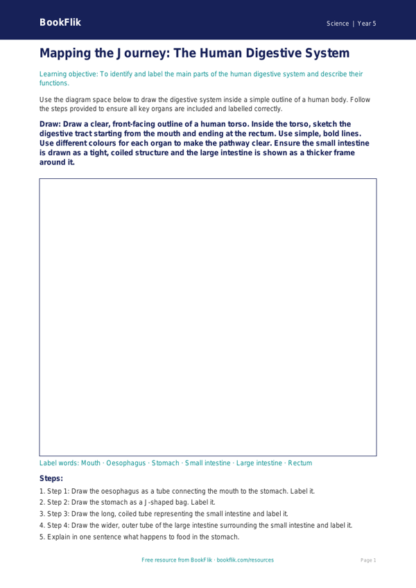 Free Digestion Drawing Sheet | Year 5 Core | BookFlik worksheet preview — Science Digestion