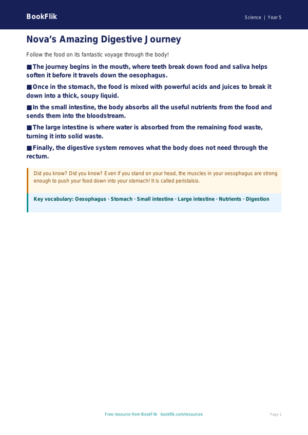 Free Digestion Poster | Year 5 Core | BookFlik worksheet preview — Science Digestion