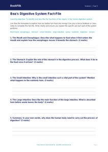 Free Digestion Template | Year 5 Core | BookFlik