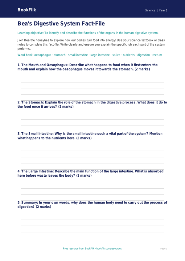 Free Digestion Template | Year 5 Core | BookFlik worksheet preview — Science Digestion