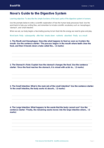 Free Digestion Writing Frame | Year 5 Core | BookFlik