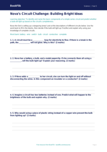 Free Electricity Activity Sheet | Year 5 Core | BookFlik