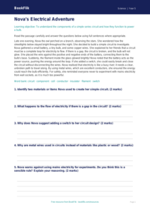 Free Electricity Comprehension | Year 5 Core | BookFlik