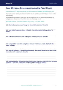 Free Food Chains Assessment | Year 4 Supported | BookFlik
