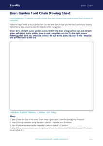 Free Food Chains Drawing Sheet | Year 4 Supported | BookFlik