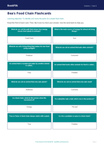 Free Food Chains Flashcards | Year 4 Supported | BookFlik