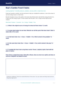 Free Food Chains Worksheet | Year 4 Supported | BookFlik