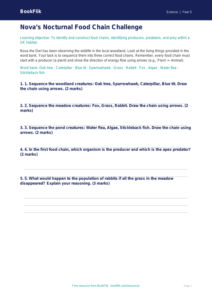 Free Food Chains Activity Sheet | Year 5 Core | BookFlik