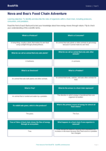 Free Food Chains Flashcards | Year 5 Core | BookFlik