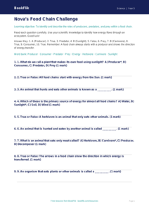 Free Food Chains Quiz | Year 5 Core | BookFlik