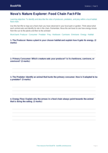 Free Food Chains Template | Year 5 Core | BookFlik