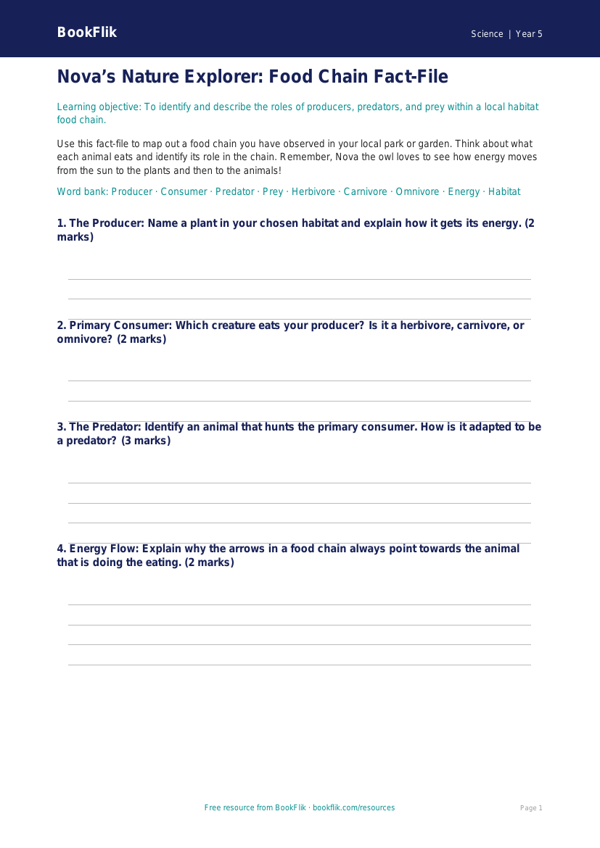 Free Food Chains Template | Year 5 Core | BookFlik worksheet preview — Science Food Chains