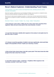 Free Food Chains Worksheet | Year 5 Core | BookFlik