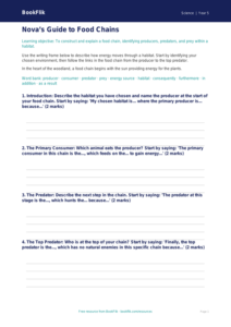 Free Food Chains Writing Frame | Year 5 Core | BookFlik
