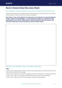 Free Human Body Drawing Sheet | Year 4 Supported | BookFlik