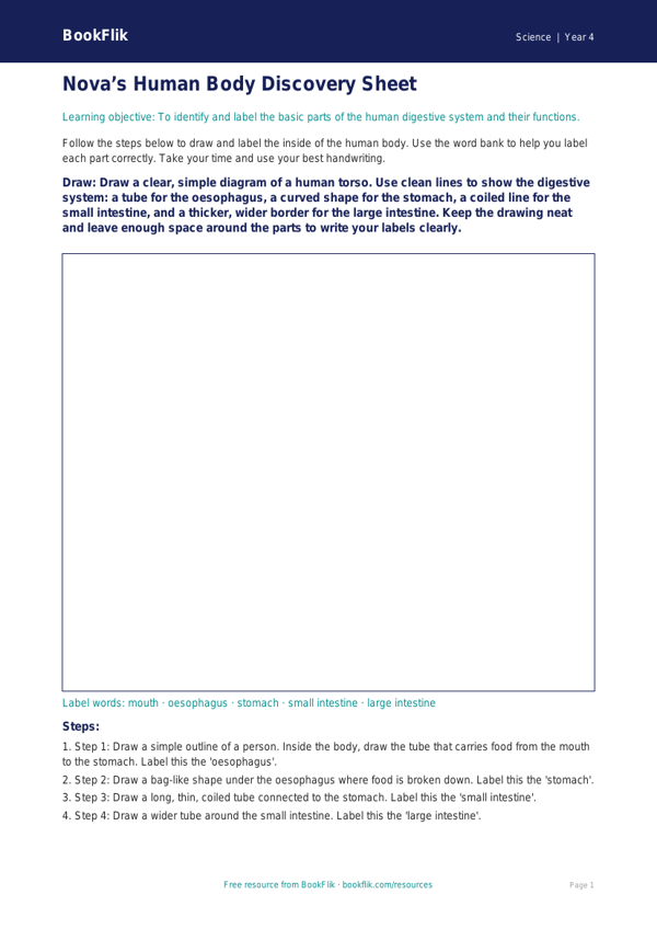 Free Human Body Drawing Sheet | Year 4 Supported | BookFlik worksheet preview — Science Human Body