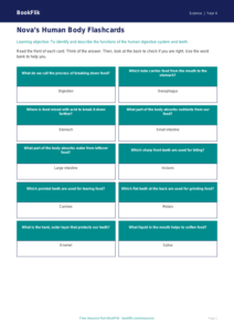 Free Human Body Flashcards | Year 4 Supported | BookFlik