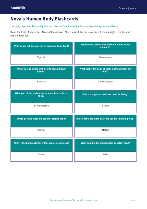 Free Human Body Flashcards | Year 4 Supported | BookFlik worksheet preview — Science Human Body