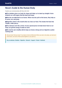 Free Human Body Poster | Year 4 Supported | BookFlik