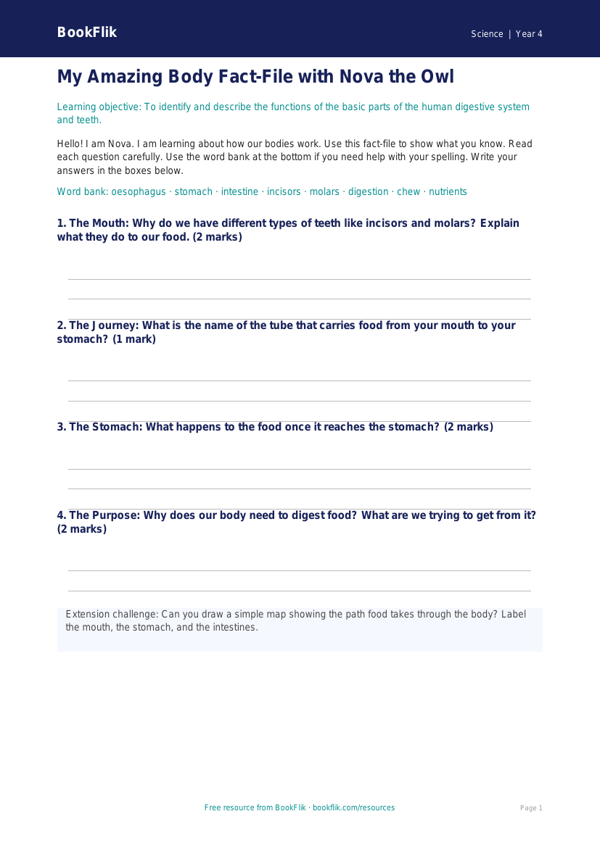 Free Human Body Template | Year 4 Supported | BookFlik worksheet preview — Science Human Body