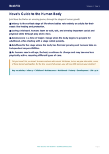 Free Human Body Poster | Year 5 Core | BookFlik