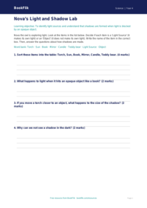 Free Light Activity Sheet | Year 4 Supported | BookFlik