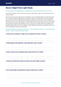 Free Light Comprehension | Year 4 Supported | BookFlik