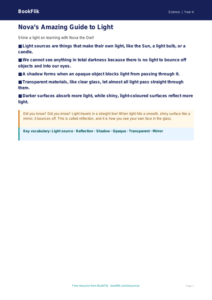 Free Light Poster | Year 4 Supported | BookFlik