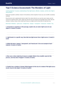Free Light Assessment | Year 5 Core | BookFlik
