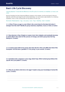 Free Living Things Activity Sheet | Year 5 Core | BookFlik