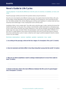 Free Living Things Comprehension | Year 5 Core | BookFlik
