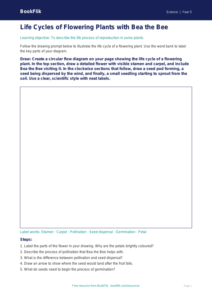 Free Living Things Drawing Sheet | Year 5 Core | BookFlik