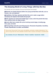 Free Living Things Poster | Year 5 Core | BookFlik