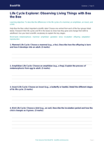 Free Living Things Template | Year 5 Core | BookFlik