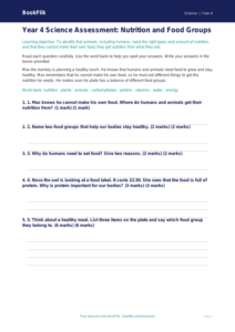 Free Nutrition Assessment | Year 4 Supported | BookFlik