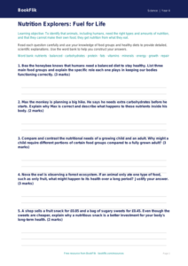 Free Nutrition Worksheet | Year 4 Greater Depth | BookFlik