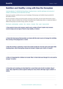 Free Nutrition Worksheet | Year 5 Core | BookFlik