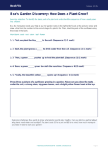 Free Plants Activity Sheet | EYFS Core | BookFlik