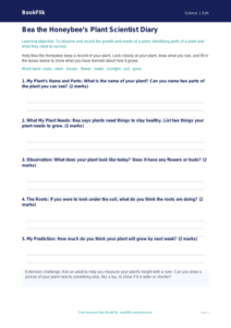 Free Plants Template | EYFS Core | BookFlik