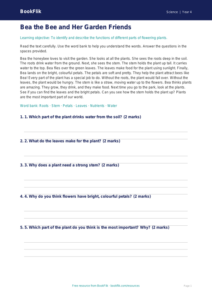 Free Plants Comprehension | Year 4 Supported | BookFlik