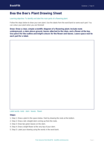 Free Plants Drawing Sheet | Year 4 Supported | BookFlik