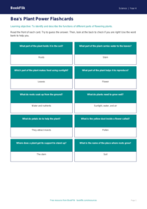 Free Plants Flashcards | Year 4 Supported | BookFlik