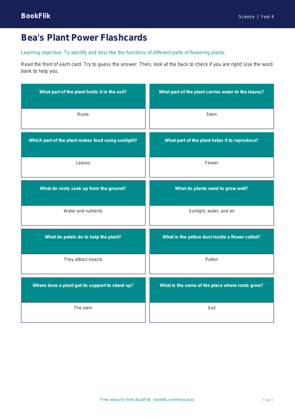 Free Plants Flashcards | Year 4 Supported | BookFlik worksheet preview — Science Plants