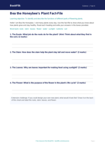 Free Plants Template | Year 4 Supported | BookFlik