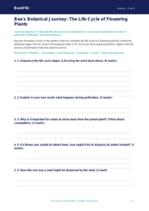 Free Plants Activity Sheet | Year 5 Core | BookFlik