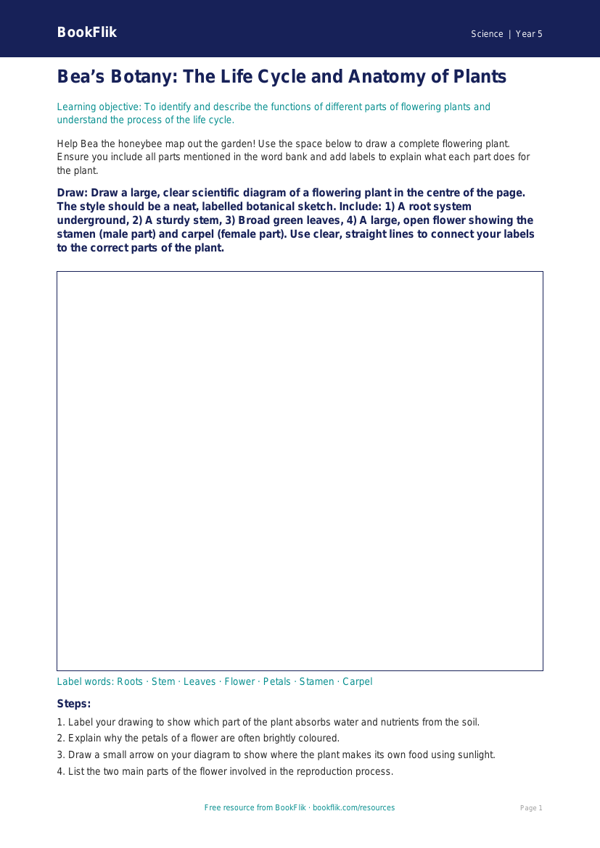 Free Plants Drawing Sheet | Year 5 Core | BookFlik worksheet preview — Science Plants