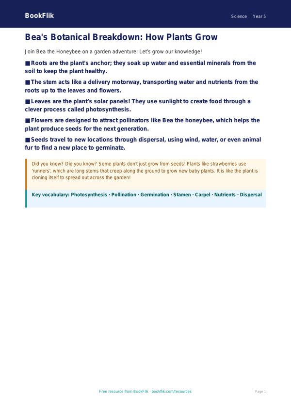 Free Plants Poster | Year 5 Core | BookFlik worksheet preview — Science Plants