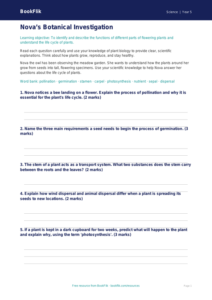 Free Plants Worksheet | Year 5 Science | BookFlik