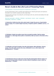 Free Plants Writing Frame | Year 5 Core | BookFlik