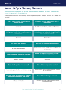 Free Reproduction Flashcards | Year 5 Science | BookFlik